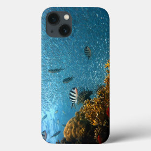 Fisch, Unterwasser, Korallen Case-Mate iPhone Hülle