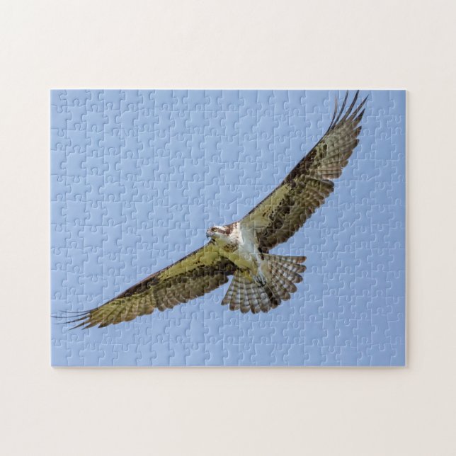 Fischadler im Flug Puzzle (Horizontal)