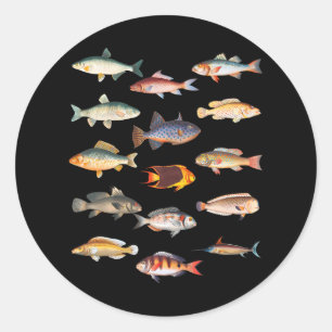 Fischart Biologische Arten der Süßwasserfischerei Runder Aufkleber