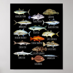 Fischarten Biologie Arten Von Salzwasserfischen Fi Poster