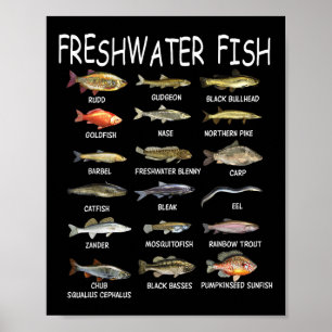 Fischarten Biologie Arten von Süßwasserfischen Fis Poster