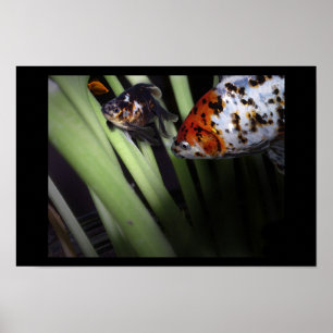 fischartiges Geschäft Poster