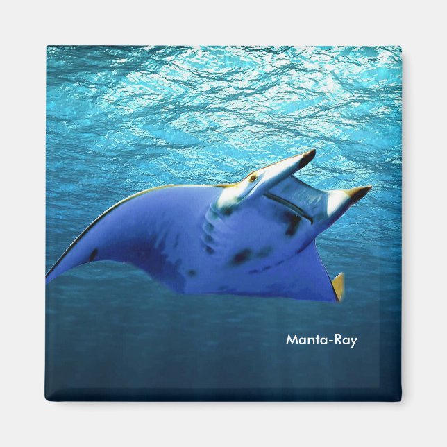 Fischbild für Square-Magnet Magnet (Vorne)