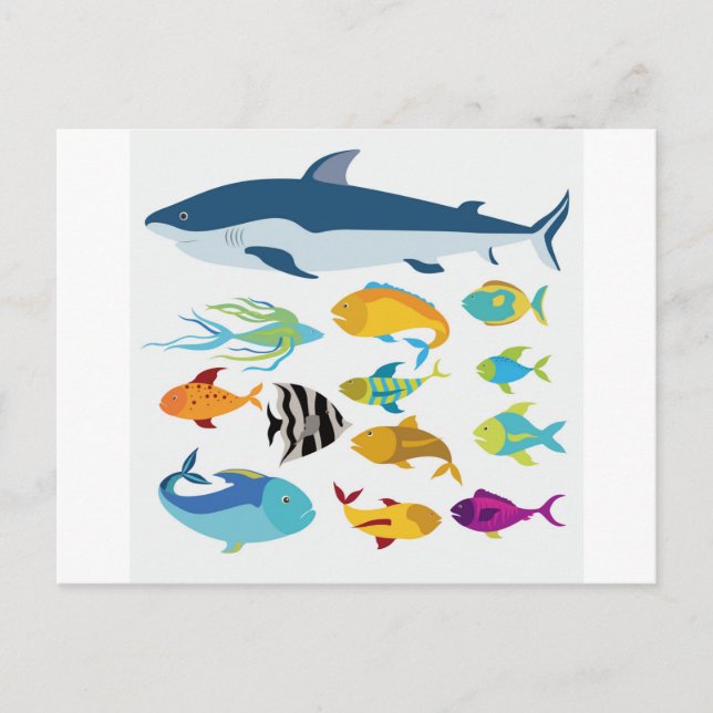 Fischdesign Postkarte (Vorderseite)