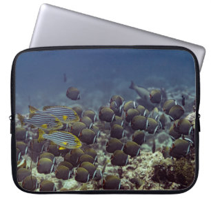 Fische am Korallenriff im ozeanischen Hintergrund, Laptopschutzhülle