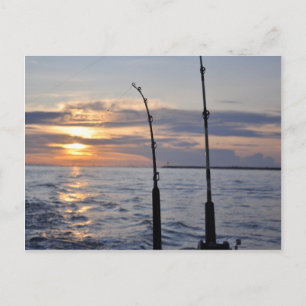 Fische an! postkarte