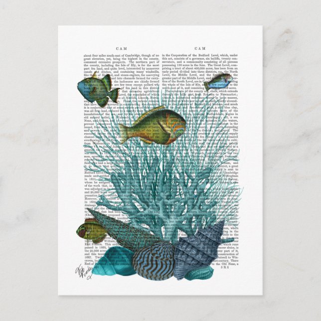 Fische, blaue Muscheln und Korallen Postkarte (Vorderseite)