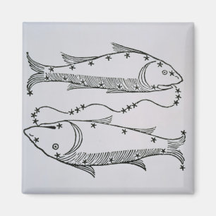 Fische (die Fische) eine Illustration vom 'Dichter Magnet