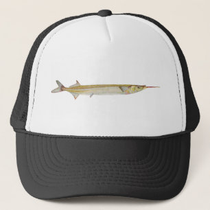 Fische - Garfish - Hyporhamphus intermedius Truckerkappe