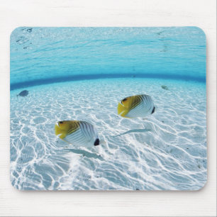 Fische im Meer 2 Mousepad