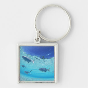 Fische im Meer 4 Schlüsselanhänger
