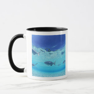 Fische im Meer 4 Tasse