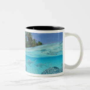 Fische im Meer Zweifarbige Tasse