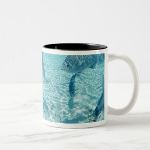 Fische im Meer Zweifarbige Tasse