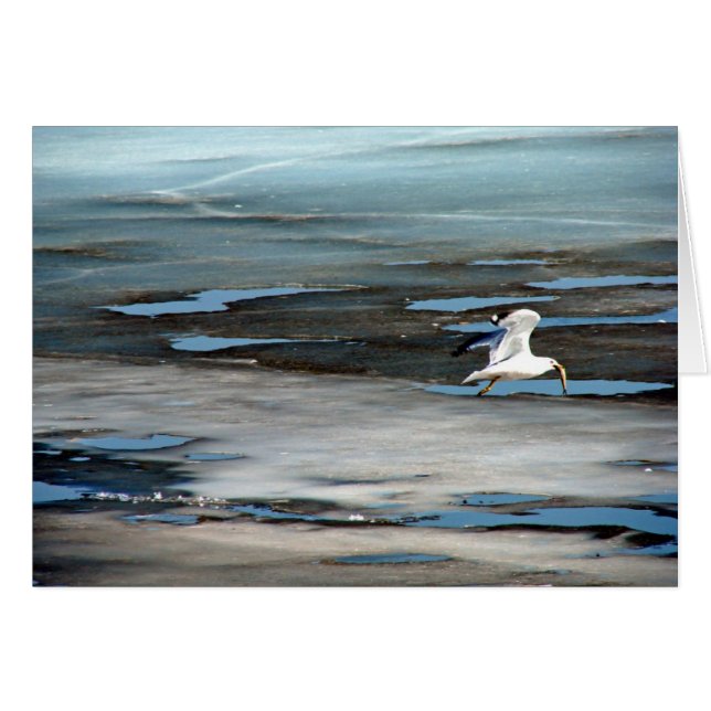 Fische im Mund (Vorderseite (Horizontal))