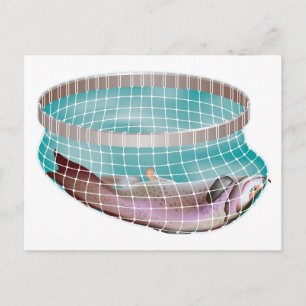 Fische im Netz Postkarte