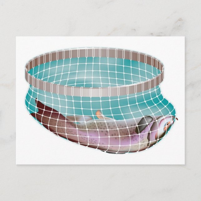 Fische im Netz Postkarte (Vorderseite)