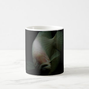 Fische im Tankportrait Kaffeetasse