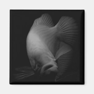 Fische im Tankportrait Magnet