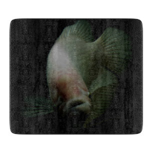 Fische im Tankportrait Schneidebrett