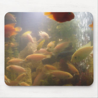 Fische in einem Aquarium Mousepad