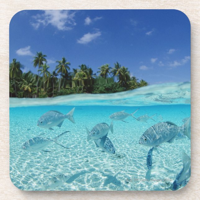 Fische in Meer Untersetzer (Vorderseite)