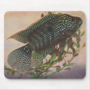 Fische - Jack Dempsey - Archocentrus octofasciatus Mousepad