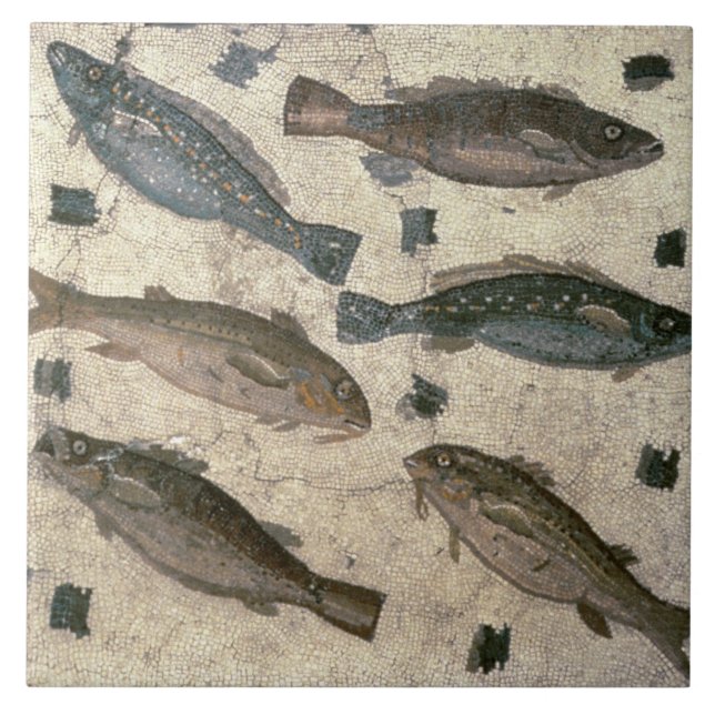 Fische (Mosaik) Fliese (Vorderseite)