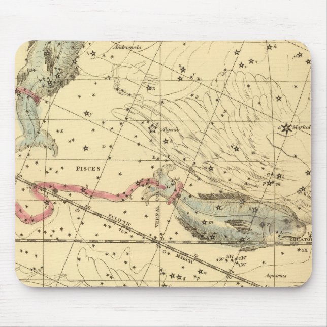 Fische Mousepad (Vorne)