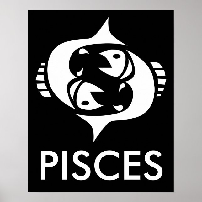 Fische Poster (Vorne)