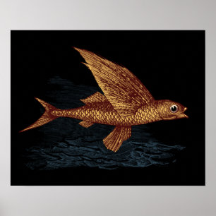 Fische Poster