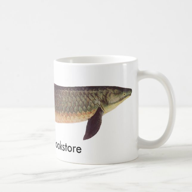Fische - Qld. Lungfish - Neoceratodus forsteri Kaffeetasse (Rechts)