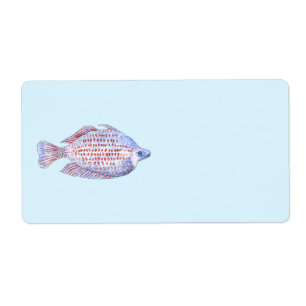 Fische. Rote Linie Rainbowfish.