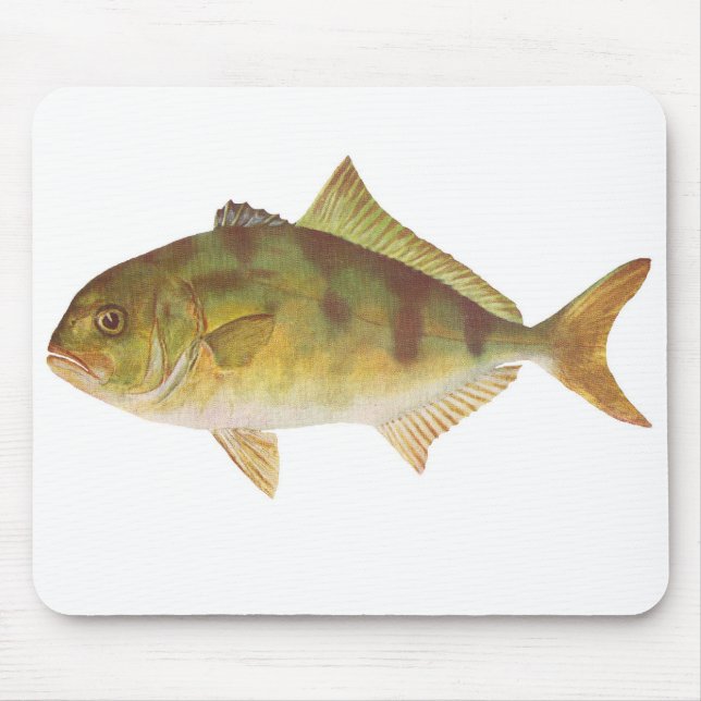 Fische - Samson-Fische - Seriolaflusspferde Mousepad (Vorne)