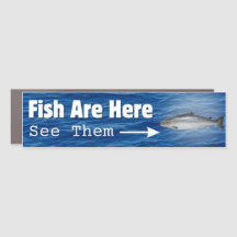 Fische sind hier...