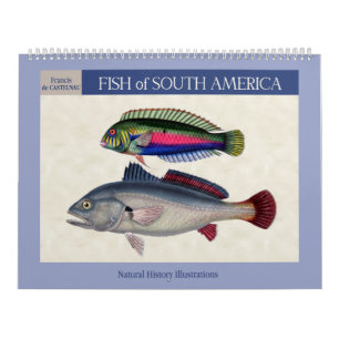 Fische Südamerikas 2027 Kalender