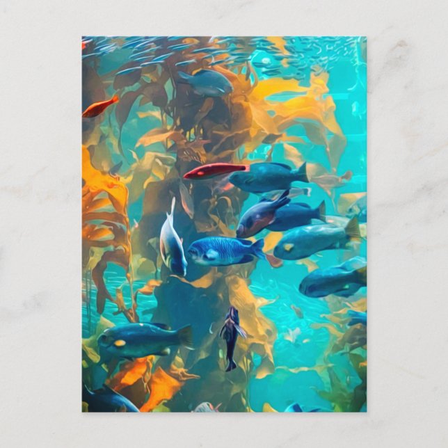 Fische und Meeresalgen Postkarte (Vorderseite)