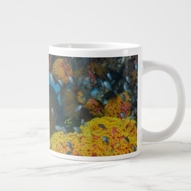 Fische unter Korallenriff Jumbo-Tasse (Rechts)