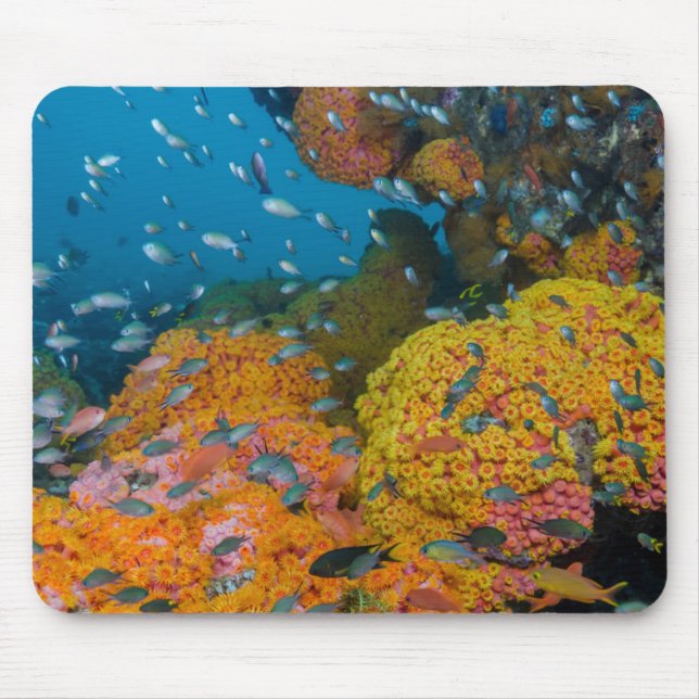 Fische unter Korallenriff Mousepad (Vorne)