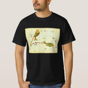 Fische, Vintager Sternbild Urania-Spiegel T-Shirt