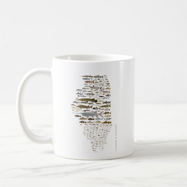 Fische von Illinois Poster Kaffeetasse (Links)