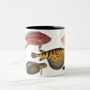 Fische Zweifarbige Tasse