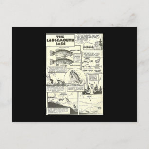 Fischen Comic Buchtipps Bass Bajonett Niedlich Postkarte