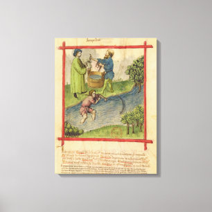 Fischen f.82 Frau-Lat 9333 für Aale, von 'Tacuinu Leinwanddruck