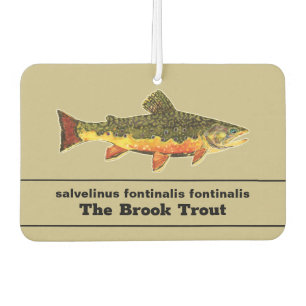 Fischen für Brookie - Bachforelle Fischer Autolufterfrischer