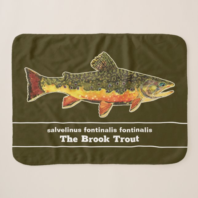 Fischen für Brookie - Bachforelle Fischer Sherpadecke (Vorderseite (Horizontal))
