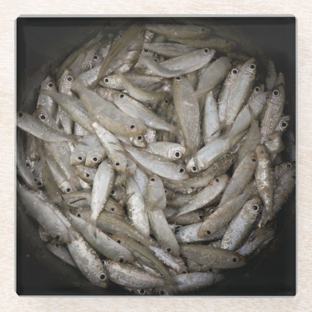 Fischen in einem Eimer Glasuntersetzer (Vorderseite)