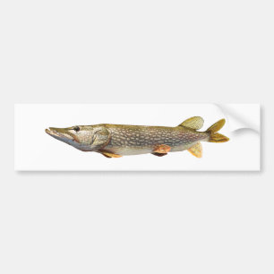 Fischen Pikes Muski Autoaufkleber