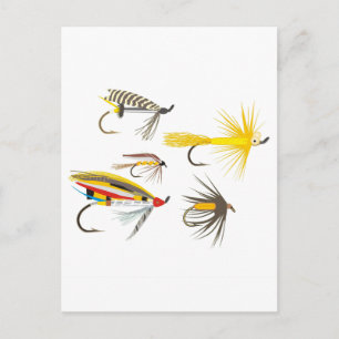 Fischen Postkarte