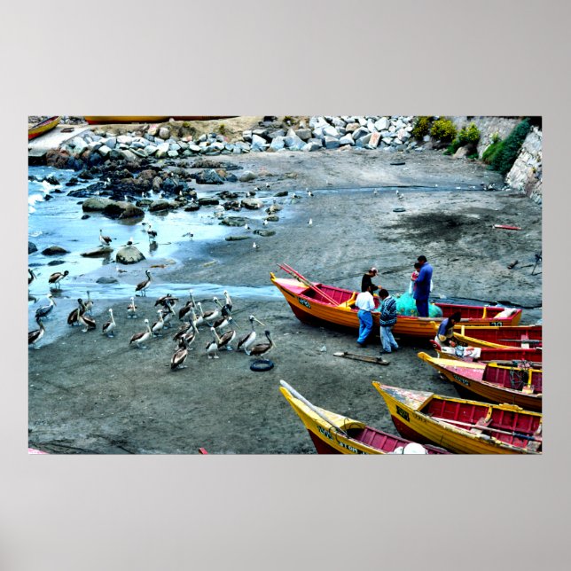 Fischer und Pelikane, Valparaiso, Chile Poster (Vorne)